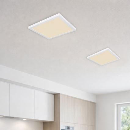 Globo - LED Mennyezeti lámpa LED/24W/230V 3000/4000/6500K fehér