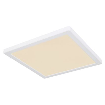 Globo - LED Mennyezeti lámpa LED/24W/230V 3000/4000/6500K fehér