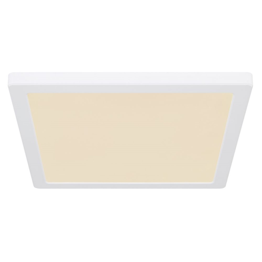 Globo - LED Mennyezeti lámpa LED/24W/230V 3000/4000/6500K fehér