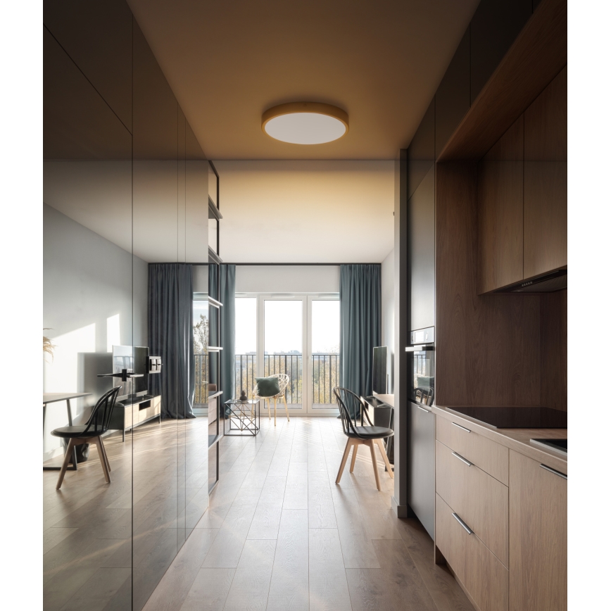 Globo - LED Mennyezeti lámpa LED/22W/230V átm. 35 cm