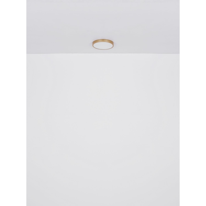 Globo - LED Mennyezeti lámpa LED/22W/230V átm. 35 cm