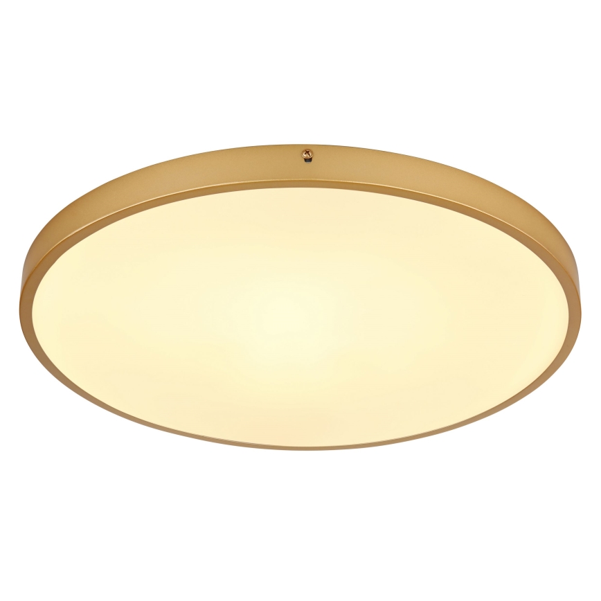 Globo - LED Mennyezeti lámpa LED/30W/230V átm. 45 cm