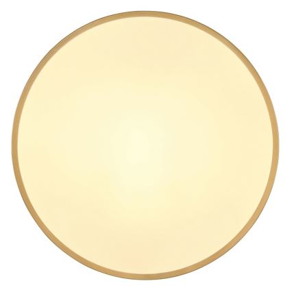 Globo - LED Mennyezeti lámpa LED/30W/230V átm. 45 cm