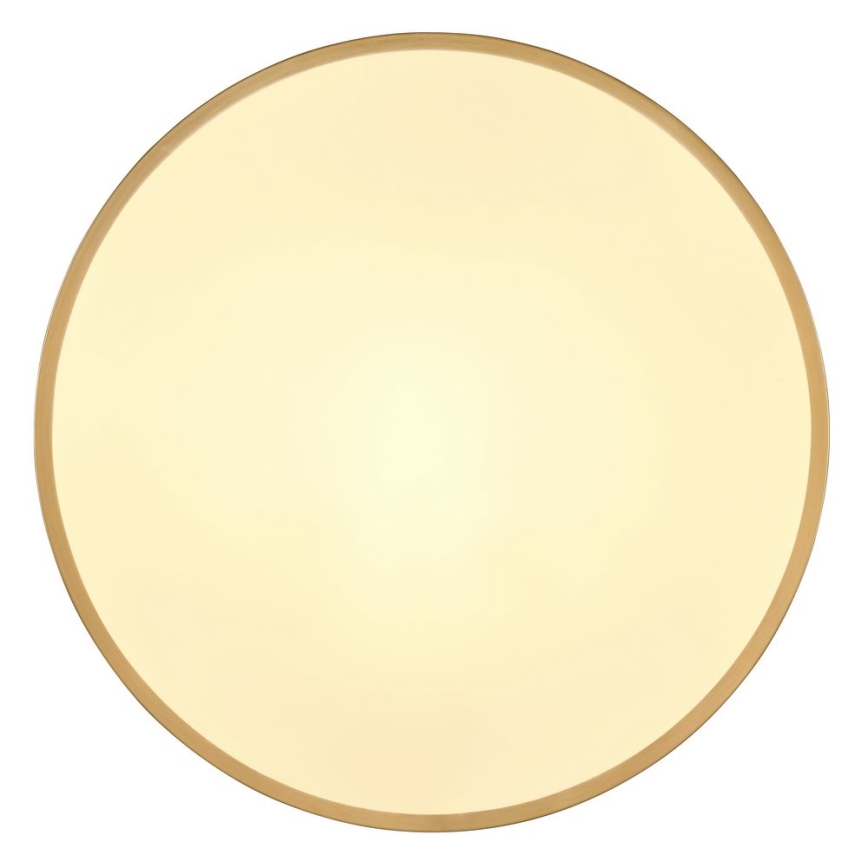 Globo - LED Mennyezeti lámpa LED/30W/230V átm. 45 cm