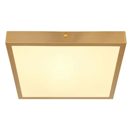 Globo - LED Mennyezeti lámpa LED/15W/230V 25x25 cm