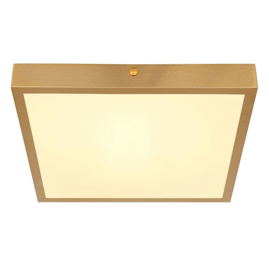Globo - LED Mennyezeti lámpa LED/15W/230V 25x25 cm
