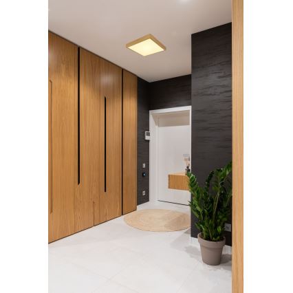 Globo - LED Mennyezeti lámpa LED/22W/230V 35x35 cm