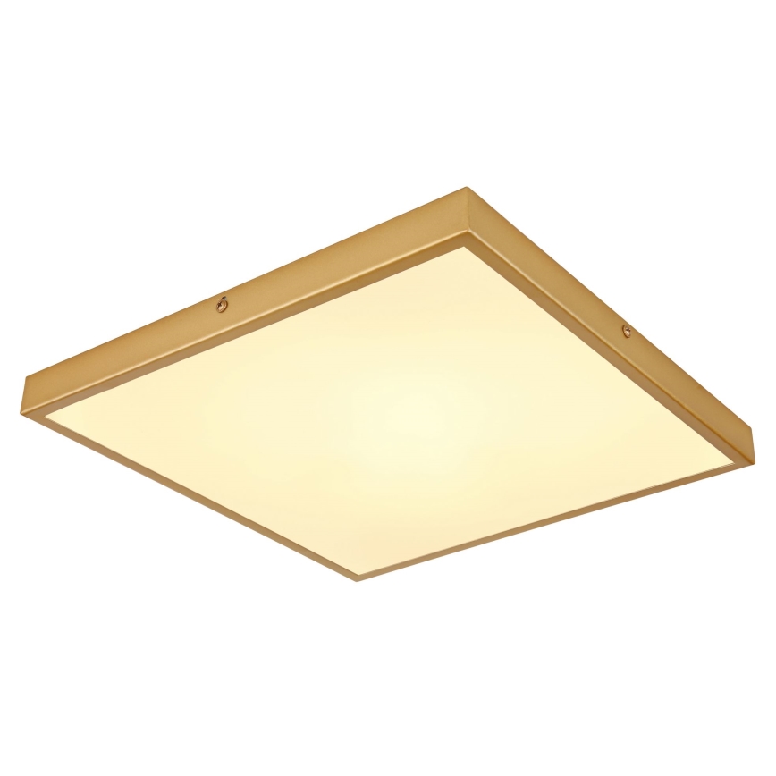 Globo - LED Mennyezeti lámpa LED/22W/230V 35x35 cm