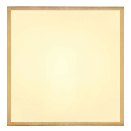 Globo - LED Mennyezeti lámpa LED/22W/230V 35x35 cm