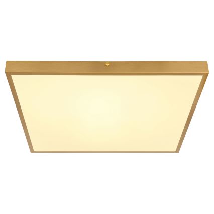 Globo - LED Mennyezeti lámpa LED/30W/230V 45x45 cm