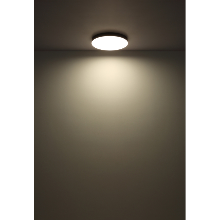 Globo - LED Mennyezeti lámpa LED/50W/230V 3000K/4000K/6500K átm. 50 cm fekete