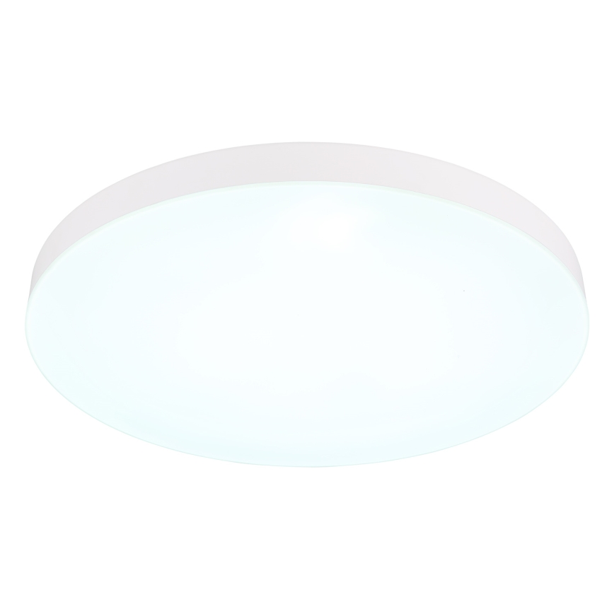 Globo - LED Mennyezeti lámpa LED/50W/230V 3000K/4000K/6500K átm. 50 cm fehér