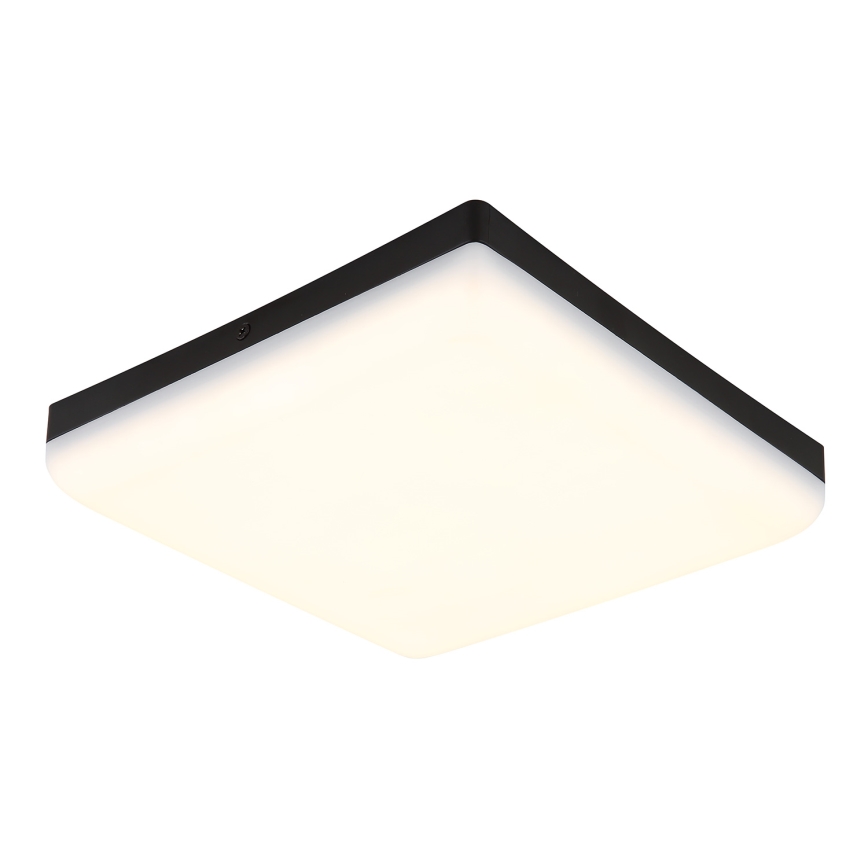 Globo - LED Mennyezeti lámpa LED/12W/230V 4000K 22x22 cm fekete