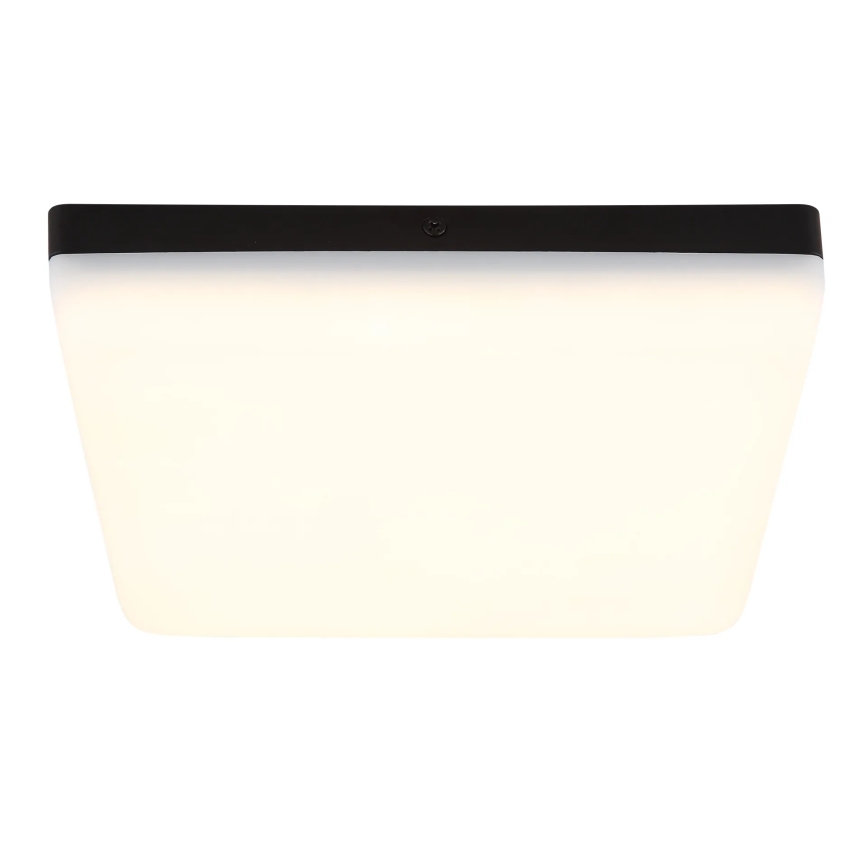 Globo - LED Mennyezeti lámpa LED/12W/230V 4000K 22x22 cm fekete