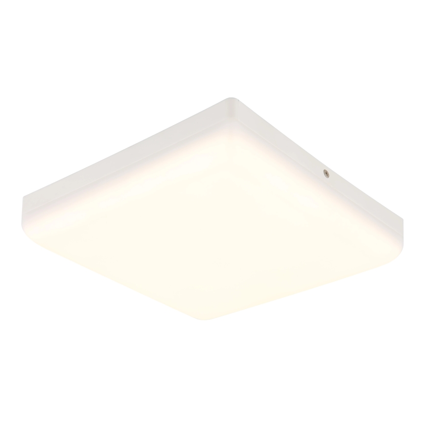 Globo - LED Mennyezeti lámpa LED/12W/230V 4000K 22x22 cm fehér