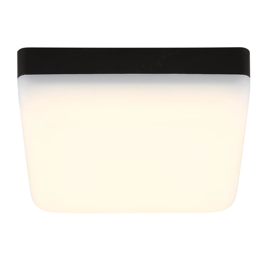 Globo - LED Mennyezeti lámpa LED/8W/230V 4000K 12x12 cm fekete