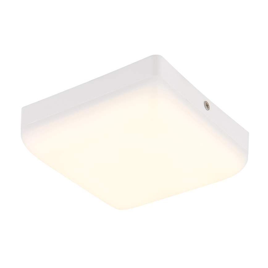 Globo - LED Mennyezeti lámpa LED/8W/230V 4000K 12x12 cm fehér