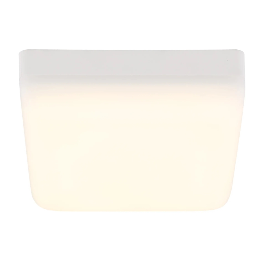 Globo - LED Mennyezeti lámpa LED/8W/230V 4000K 12x12 cm fehér