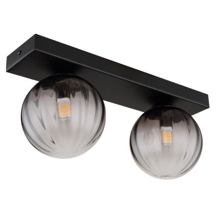 Globo - Mennyezeti lámpa 2xG9/10W/230V