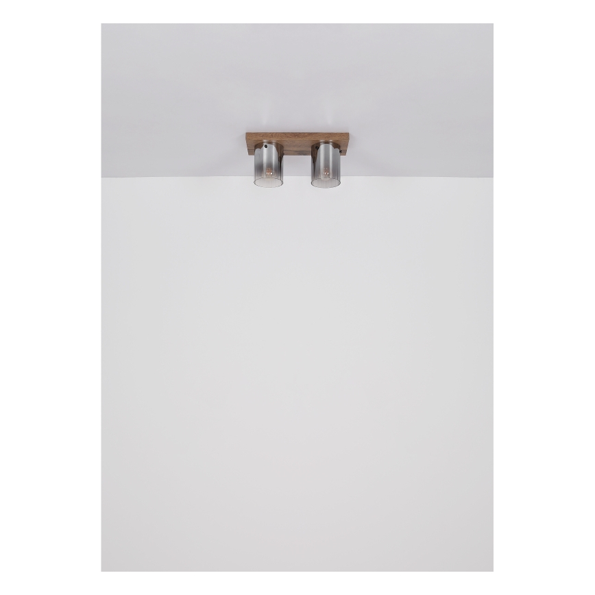 Globo - Mennyezeti lámpatest 2xE27/40W/230V