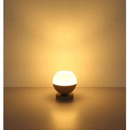 Globo - Asztali lámpa 1xE27/60W/230V