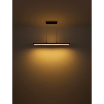 Globo - LED érintéssel dimmelhető csillár kábelen LED/24W/230V + LED/3W 3000K barna