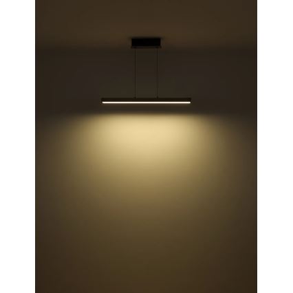 Globo - LED dimmelhető, érintésvezérelt, kábeles függeszték LED/39W/230V 2700/4000/6000K szürke