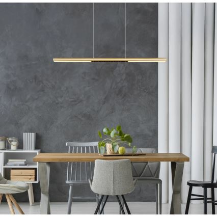 Globo - LED csillár kábelen LED/24W/230V 3000K