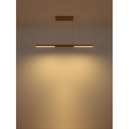Globo - LED csillár kábelen LED/24W/230V 3000K