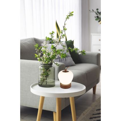 Globo - LED Dimmelhető érintős asztali lámpa LED/2W/3,7V 2700K/4000K/6500K 1200 mAh USB barna