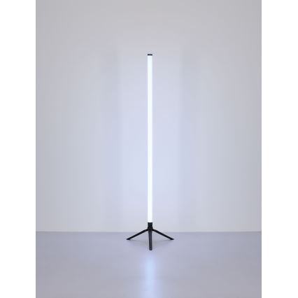 Globo - LED RGB állítható fényerejű állólámpa LED/7W/5V + távirányító