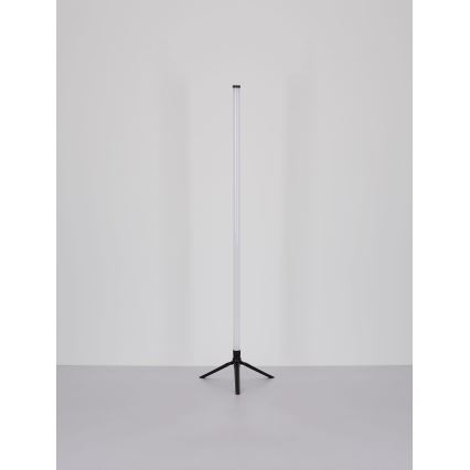 Globo - LED RGB állítható fényerejű állólámpa LED/7W/5V + távirányító