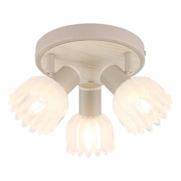 Globo - 3 izzós spotlámpa, 3xE14/40W/230V