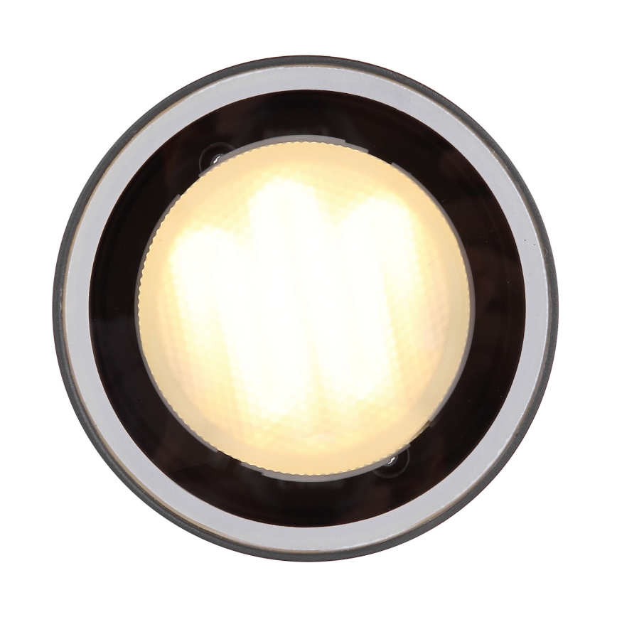 Globo - Kültéri mennyezeti lámpa 1xGX53/11W/230V IP44