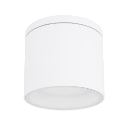Globo - Kültéri mennyezeti lámpa 1xGX53/11W/230V IP44