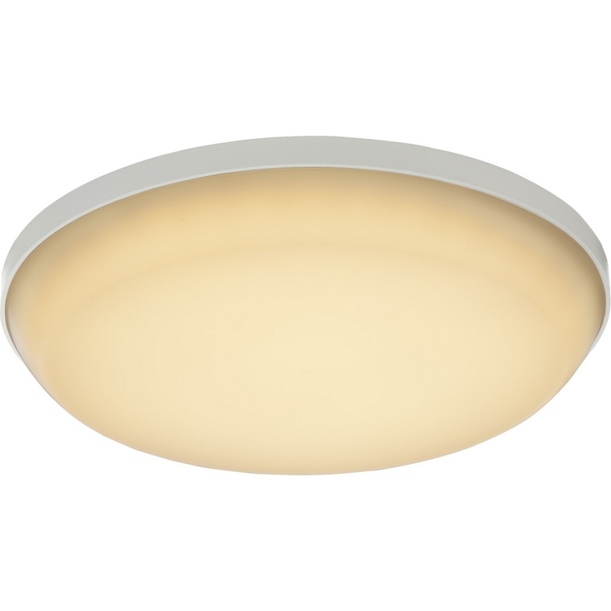 GLOBO 32105-12 - LED Kültéri mennyezeti lámpa CAIO 1xLED/18W/230V IP54