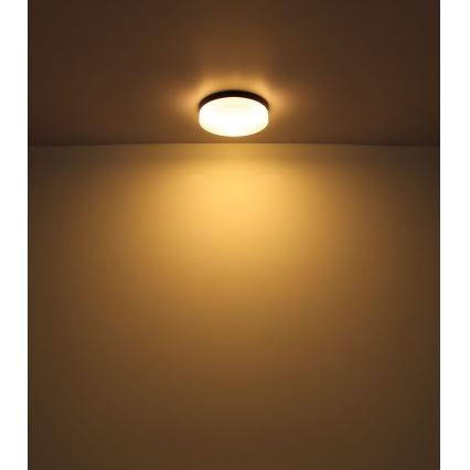 Globo - Fürdőszobai lámpa 3xE27/60W/230V átm. 30 cm IP44