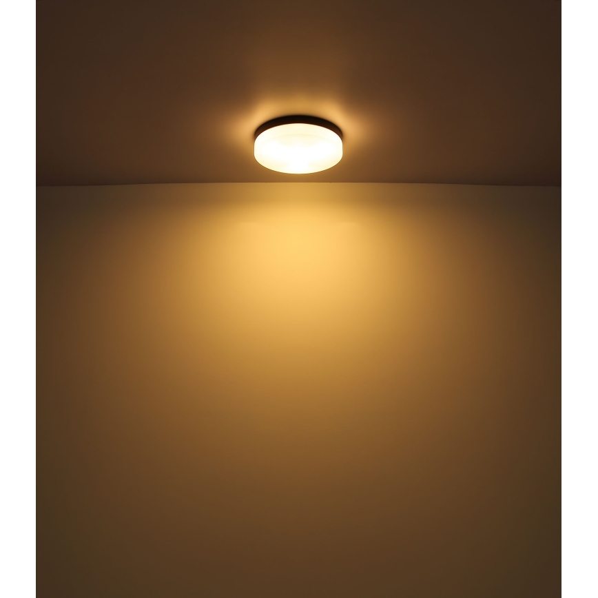 Globo - Fürdőszobai lámpa 3xE27/60W/230V átm. 30 cm IP44