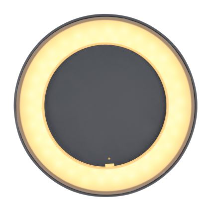 Globo - LED Kültéri mennyezeti lámpa LED/12W/230V IP54