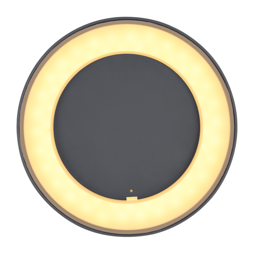 Globo - LED Kültéri mennyezeti lámpa LED/12W/230V IP54