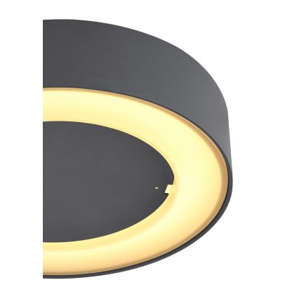 Globo - LED Kültéri mennyezeti lámpa LED/12W/230V IP54
