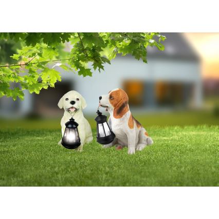 Globo - LED napelemes lámpa LED/0,06W/3V kutya IP44 600 mAh