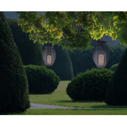 Globo - LED Napelemes lámpa LED/0,06W/3,2V IP44 200 mAh rattan