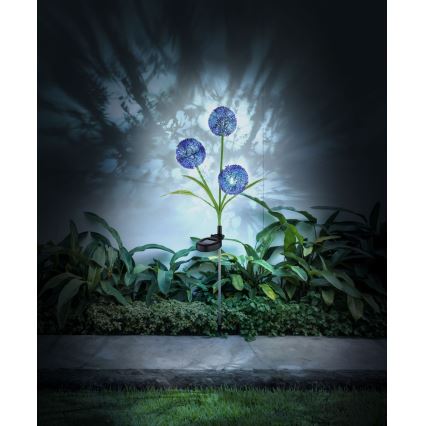 Globo - LED Napelemes lámpa 3xLED/0,06W/3V 5000K IP44 lila