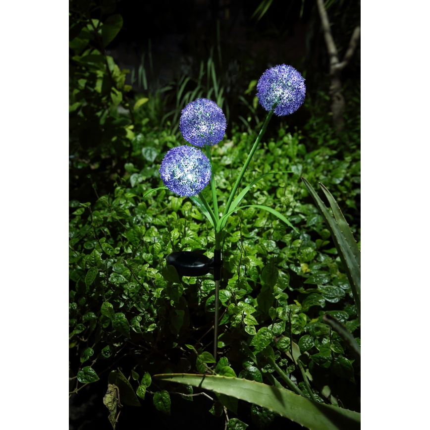 Globo - LED Napelemes lámpa 3xLED/0,06W/3V 5000K IP44 lila