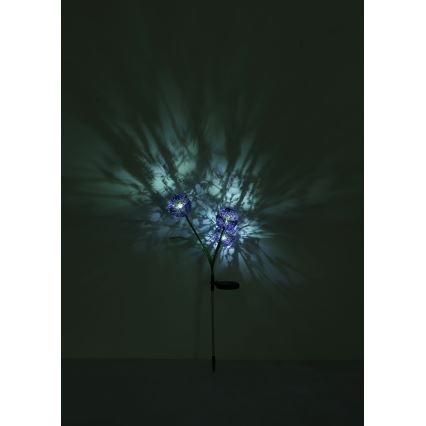 Globo - LED Napelemes lámpa 3xLED/0,06W/3V 5000K IP44 lila