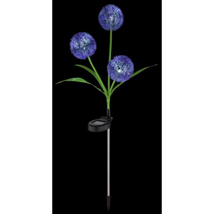 Globo - LED Napelemes lámpa 3xLED/0,06W/3V 5000K IP44 lila