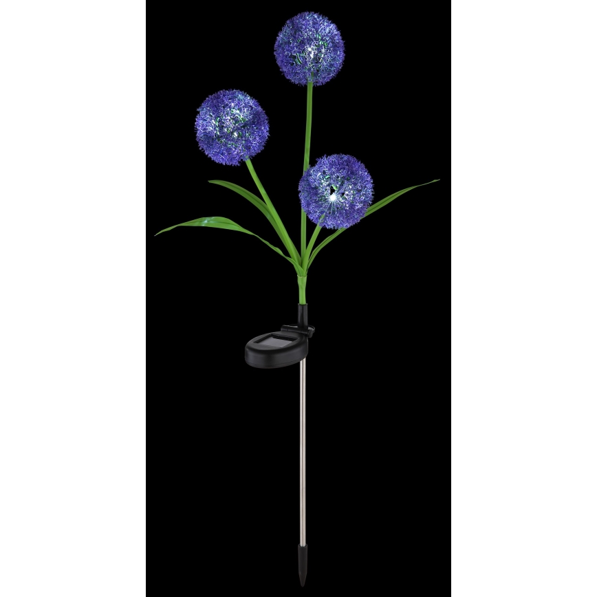 Globo - LED Napelemes lámpa 3xLED/0,06W/3V 5000K IP44 lila