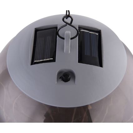 Globo - LED napelemes láncos lámpa 20xLED/0,06W/1,2V átm. 15 cm IP44 600 mAh