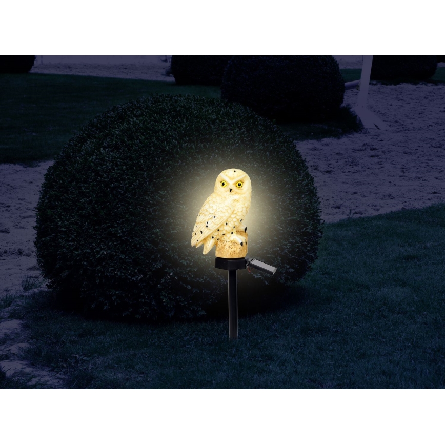 Globo - LED Napelemes lámpa LED/0,06W/3V IP44 bagoly